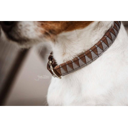Collare per cane Triangle Kentucky Collare per cane Triangle Kentucky