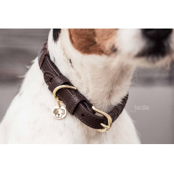 Collare per cane Triangle Kentucky Collare per cane Triangle Kentucky