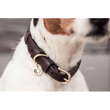 Collare per cane Triangle Kentucky Collare per cane Triangle Kentucky