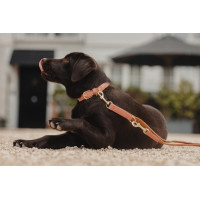 Collare per cane in pelle vegana Kentucky Pesca