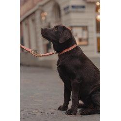 Collare per cane in pelle vegana Kentucky Pesca Rosa