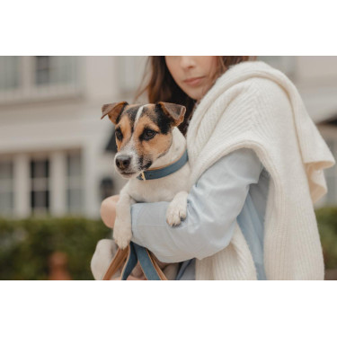 Collare per cane in pelle vegana Kentucky Blu navy Blu marino