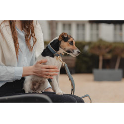 Collare per cane in pelle vegana Kentucky Blu navy Blu marino