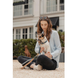 Collare per cane in pelle vegana Kentucky Blu navy Blu marino