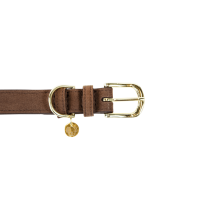 Collare per cane Velvet Leather Kentucky Marrone Collare per cane Velvet Leather Kentucky Marrone