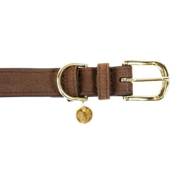 Collare per cane Velvet Leather Kentucky Marrone Collare per cane Velvet Leather Kentucky Marrone