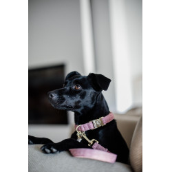 Collare per cane Wool Kentucky
