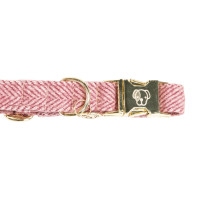 Collare per cane Wool Kentucky Rosa chiaro Collare per cane Wool Kentucky Rosa chiaro