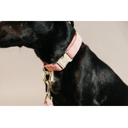 Collare per cane Wool Kentucky Rosa chiaro