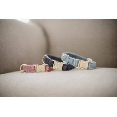 Collare per cane Wool Kentucky Grigio