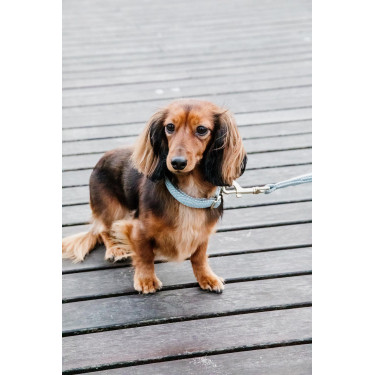 Collare per cane Wool Kentucky Azzurro chiaro Blu