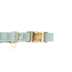 Collare per cane Wool Kentucky Azzurro chiaro Blu