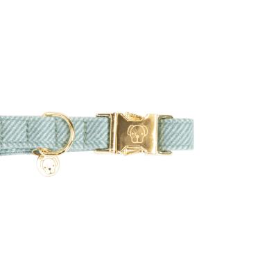 Collare per cane Wool Kentucky Azzurro chiaro Blu