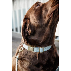 Collare per cane Wool Kentucky Azzurro chiaro Blu