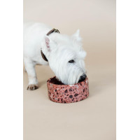 Gamelle pour chien en pierre Terrazzo Kentucky Beige