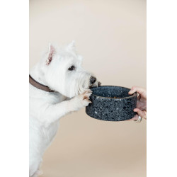 Ciotola per cane in pietra Terrazzo Kentucky Nero
