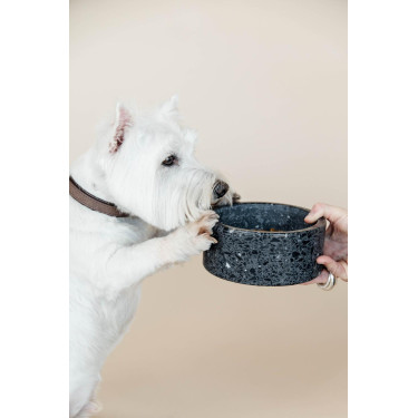 Ciotola per cane in pietra Terrazzo Kentucky Nero