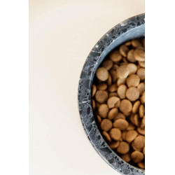 Ciotola per cane in pietra Terrazzo Kentucky Nero