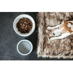 Ciotola per cane Granit Kentucky Ciotola per cane Granit Kentucky