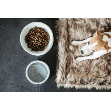 Ciotola per cane Granit Kentucky Ciotola per cane Granit Kentucky