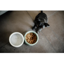 Ciotola per cani Marmo Kentucky Ciotola per cani Marmo Kentucky