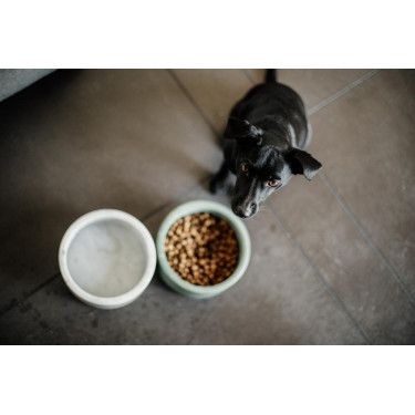 Ciotola per cani Marmo Kentucky Ciotola per cani Marmo Kentucky