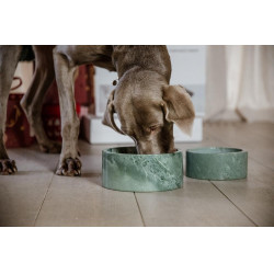 Ciotola per cani Marmo Kentucky Verde abete