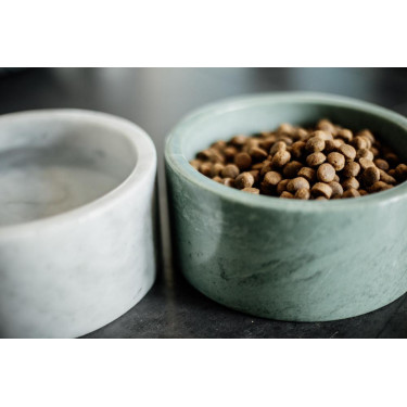 Ciotola per cani Marmo Kentucky Verde abete