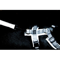 Imbracatura per cane Active Reflective Kentucky Argento