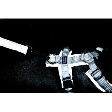 Imbracatura per cane Active Reflective Kentucky Argento