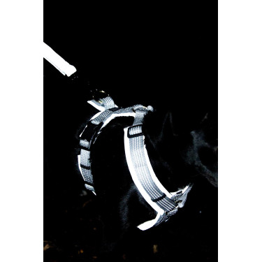 Imbracatura per cane Active Reflective Kentucky Argento