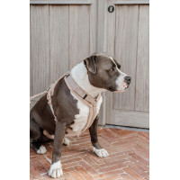 Harnais pour chien Active Teddy Fleece Kentucky Beige