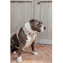 Harnais pour chien Active Teddy Fleece Kentucky Beige