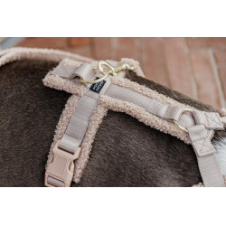 Harnais pour chien Active Teddy Fleece Kentucky Beige