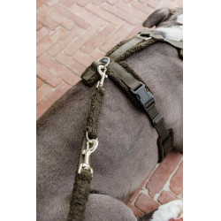 Pettorina per cane Active Teddy Fleece Kentucky Verde abete