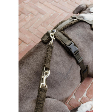 Pettorina per cane Active Teddy Fleece Kentucky Verde abete Pettorina per cane Active Teddy Fleece Kentucky Verde abete