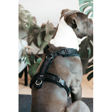 Pettorina per cane Active Velvet Kentucky Nero