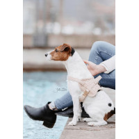 Harnais pour chien Body Safe Wool Kentucky Beige Harnais pour chien Body Safe Wool Kentucky Beige