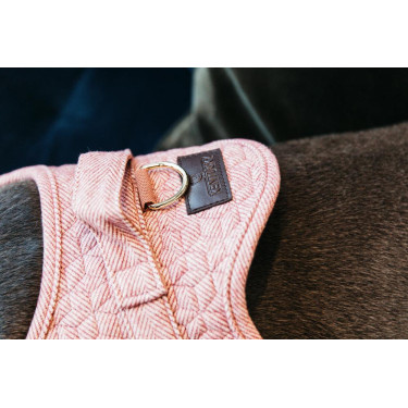 Imbracatura per cane Body Safe Wool Kentucky Imbracatura per cane Body Safe Wool Kentucky