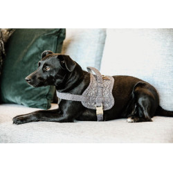 Imbracatura per cane Body Safe Wool Kentucky Grigio Imbracatura per cane Body Safe Wool Kentucky Grigio