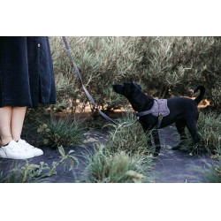 Imbracatura per cane Body Safe Wool Kentucky Grigio Imbracatura per cane Body Safe Wool Kentucky Grigio