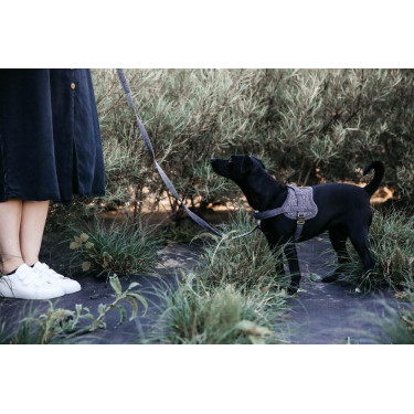 Imbracatura per cane Body Safe Wool Kentucky Grigio Imbracatura per cane Body Safe Wool Kentucky Grigio