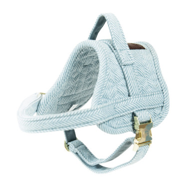 Imbracatura per cane Body Safe Wool Kentucky Azzurro chiaro Blu