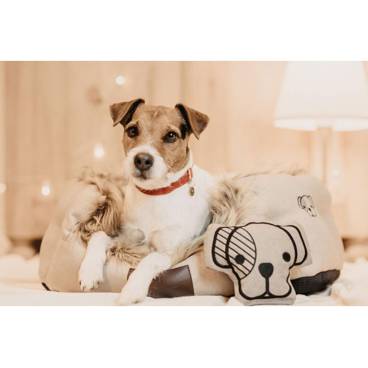 Giocattolo per cane Dog-Head Kentucky