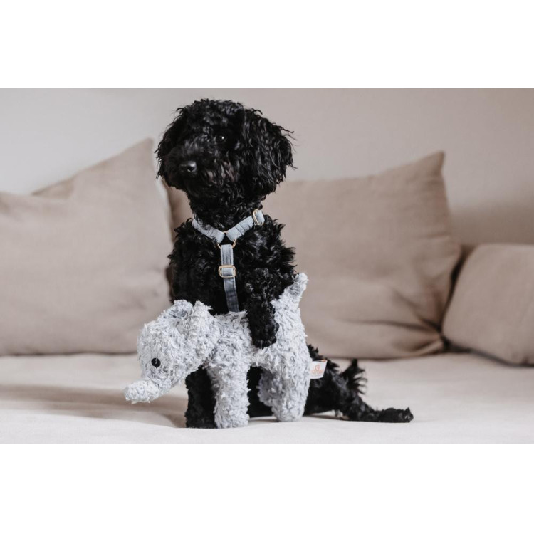 Giocattolo per cane Elefante Elsa Kentucky