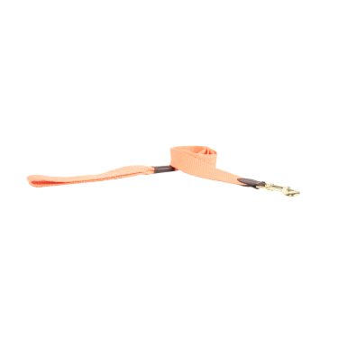 Guinzaglio per cane Jacquard Kentucky Guinzaglio per cane Jacquard Kentucky