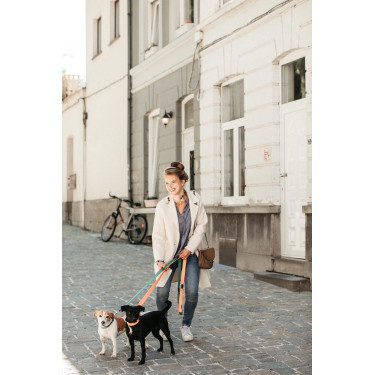Guinzaglio per cane Jacquard Kentucky Guinzaglio per cane Jacquard Kentucky
