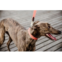 Guinzaglio per cane Jacquard Kentucky Arancione neon