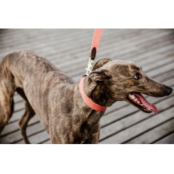 Guinzaglio per cane Jacquard Kentucky Terracotta Arancione Guinzaglio per cane Jacquard Kentucky Terracotta Arancione