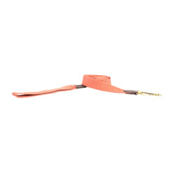 Guinzaglio per cane Jacquard Kentucky Terracotta Arancione